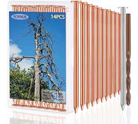 YOTNUS 12 Pcs Copper Nails for Killing Trees, Stumps & Roots -5 Inch Long Come with Steel Nails Drill Nails Enabling the Copper Nails to Drive Into the Stump Without Bending