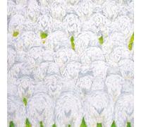 YOU and I/-r‚ÌŒQ‚ê‚Í‹u‚ð“o‚é(‰‰ñŒÀ’è”Õ)(DVD•t)