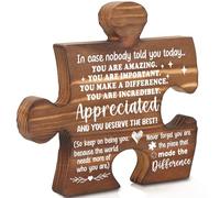 You are Amazing Appreciated Gifts, Inspirational Thank You Puzzle Piece Plaque for Teachers, Coworkers, Staff, Friends AXX21
