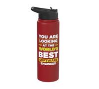 You are Looking at The World's Best Software Engineer Stainless Steel Insulated Water Bottle