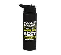 You are Looking at The World's Best Software Engineer Stainless Steel Insulated Water Bottle