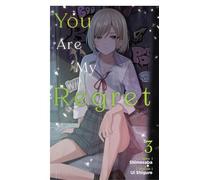 You Are My Regret, Vol. 3: Volume 3 (YOU ARE MY REGRET PROSE NOVEL SC)
