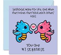 You Are My Seahorse Valentines Card - Romantic Valentine Cute Valentine's Day Card for Boyfriend Girlfriend Wife Husband Partner Her Him, 145mm Anniversary Greeting Cards for Fiancee