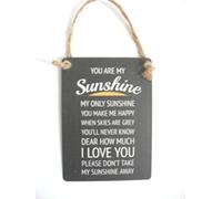 You Are My Sunshine Sentimental Mini Metal Hanging Sign by My Bargains Online Shop