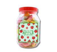 YOU ARE SUCH A CATCH - Swirly Fish Gummy Jelly Candy 400G | Fun & Assorted Chewy Sweets | Perfect Valentine's Day Gift (Pun Gift Valentines Vegan Sour Apple Jar 400g)