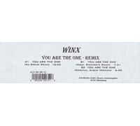 You are the one (DJ Sneak Remix) [VINYL]