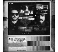 You Are the Reason for My Troubles [Vinyl LP] [VINYL]
