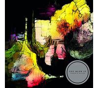 You Blew It! - Pioneer Of Nothing [VINYL]