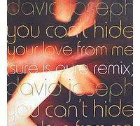 You Can't Hide (Your Love From Me, Sure is Pure Remix) [VINYL]