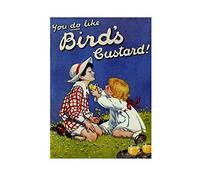 You do like bird's custard retro shabby chic vintage style picture metal wall plaque sign (200mm x 150mm)