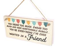 You Drink Too Much Swear Too Much and Have Questionable Morals You're Everything I've Ever Wanted in A Friend Plaque - Funny Friendship Gift Sign