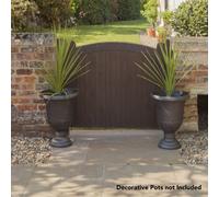 You Garden 2 X Cordyline Australis Green In A 14Cm Pot 55Cm Tall Architectural Green Palm Like Evergreen Palm Plant For Garden