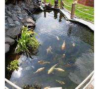 You Garden Blooming Fast Pond Clear Pro 2 Step Pack - Large Treats Up To 40,000L