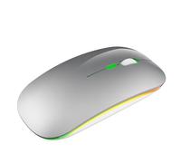 YOU GLOW GIRL LED Wireless Mouse,2.4G Portable USB Optical Wireless Computer Mice,Wireless Rechargeable Mouse for Laptop/Desktop/Tablet (silvery)