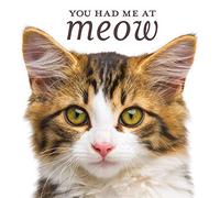 You Had Me at Meow