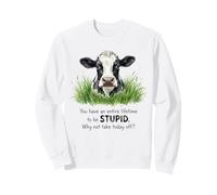 You Have A Lifetime To Be Silly Why Not Take Today Off Cow Sweatshirt