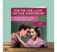 You Have Exactly What It Takes To Be The Perfect Partner... - Retro Anniversary Card