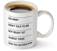You May Speak Now Mug, Go Away Dont Talk To Me Mug, Shh Almost Now You May Speak Mug, Funny Sassy Coffee Cups, Gifts for Men, Women, the Office, White Mug 11oz