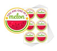 You’re One in a Melon Thank You Stickers,2 Inch Watermelon Baby Shower Birthday Party Sticker,Great for Gift,Party Favors, Envelope Seals,120 Pcs Per Pack