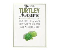 You’re Turtley Awesome Lucky Pocket Turtle, Mini Pocket Hug Turtle Token, Inspirational Gift with Card, Mother's Day Gifts Exchange Card Gifts with Mini Turtle for Kids Adults