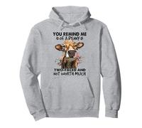 You Remind Me Of A Penny Two-Faced And Not Worth Much Pullover Hoodie