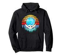 You Remind me of the Babe, barn owl, retro style Pullover Hoodie