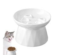 Youany Slow Feeder Cat Bowl, Ceramic Elevated Cat Dish, Anti-Vomiting, Slow Eating, White