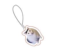 Youding Cell Phone Charm - Acrylic Cat Meme Pendant | Strap Decorative Lanyard Lightweight Durable Cute Design | Backpack Keychain Accessories | Mobile Charm, Siehe Beschreibung, Acrylic, No Gemstone