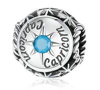 YOUFENG Jewellery S925 Sterling Silver Charms Fit for Pandora Charms Bracelet Birthstone Charms Astrology Constellation Horoscope Charms for Women December-Capricorn