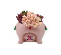 Youfui Cute Succulent Flowerpot for Home Decoration Gift (Pig)