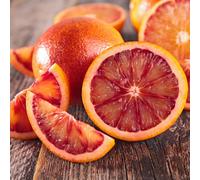 Yougarden Citrus Blood Orange Fruit Tree, Established In A 4 Litre Pot, Approximately 65-90Cm Tall