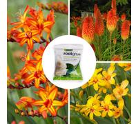 Yougarden Firestarter Bare Root Collection, 15 X Hardy Perennial Plants With 60G Rootgrow Mycorrhizal Fungi Pouch, Fiery Garden Co