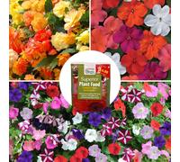 YouGarden Garden Ready Favourites collection w/100g Fertiliser