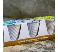 Yougarden Indoor Windowsill Flower Set, 3 X Zinc Pots, 13 X Spring Bulbs, Gift Kit Ready To Plant