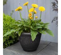 YouGarden Laurel Dark Silver Round Planters 33cm diameter x 2