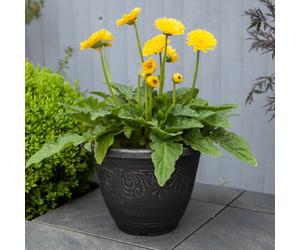 YouGarden Laurel Dark Silver Round Planters 33cm diameter x 2