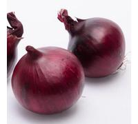 Yougarden Onion Set Red Baron 250Gm Pack