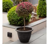 YouGarden Laurel Dark Silver Round Planters 33cm diameter x 2