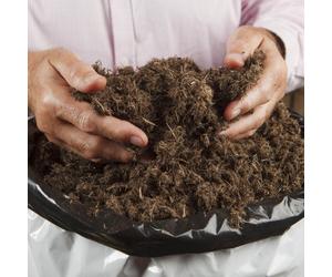 YouGarden Peat Free Compost 80L Bag & Fertiliser 100gms