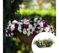 YouGarden Pre-Planted Pansy 'Cool Wave Berries & Cream', 2 x 14' 35cm Rattan Baskets, Ready to Hang Baskets for Gardens and Patios Perfect Front Door Plants