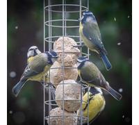 Yougarden Suet Balls Bird Feed Pack Of 50 Balls