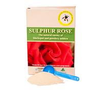 YouGarden - Sulphur Rose Tonic 250g, Granulated Powder Fertiliser for Rose Plants and Bushes, Promotes Growth, Enough Feed for 20 Rose Bushes for a Year