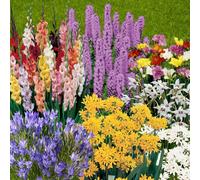 YouGarden Summer Flowering Bulb Collection x300