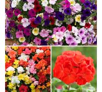 YouGarden Ultimate Garden Ready Collection x30