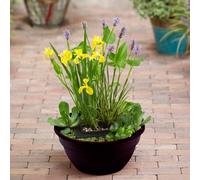 YouGarden Complete Patio Pond Kit Patio Pond Brown