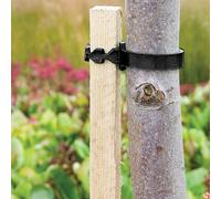 Yougarden You Garden - Tree Planting Selection For 3 Trees