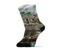 YOUJUNER Cute Animal Koala Bear Mens Womens Socks High Ankle Socks Crew Long Socks Dress Socks Novelty Socks 1 Pair