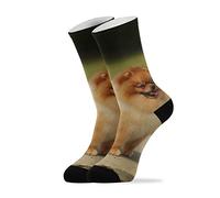 YOUJUNER Cute Pomeranian Dog Mens Womens Socks High Ankle Socks Crew Long Socks Dress Socks Novelty Socks 1 Pair