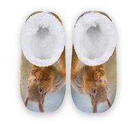 YOUJUNER Women's Memory Foam House Slippers Animal Squirrel Closed Back Slippers for Women Warm House Shoes Comfy Bedroom Shoes