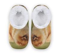 YOUJUNER Women's Memory Foam House Slippers Cute Pomeranian Dog Closed Back Slippers for Women Warm House Shoes Comfy Bedroom Shoes